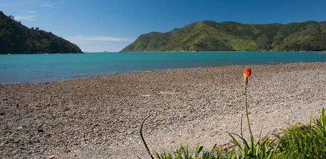 Abstecher zur Okiwi Bay (Südinsel).