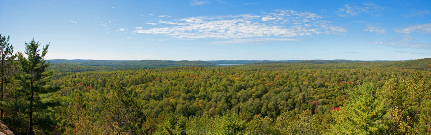 Im Algonquin Park