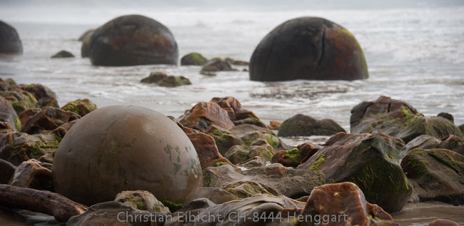 Die Mureaki-Boulders auf der Südinsel. 