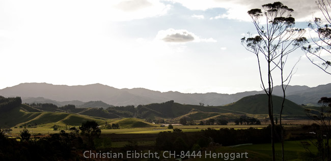 Auf der Haöbojmseö Coromandel (Nordinsel).