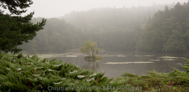 Morgenstimmung auf dem bei  Krivonoska
